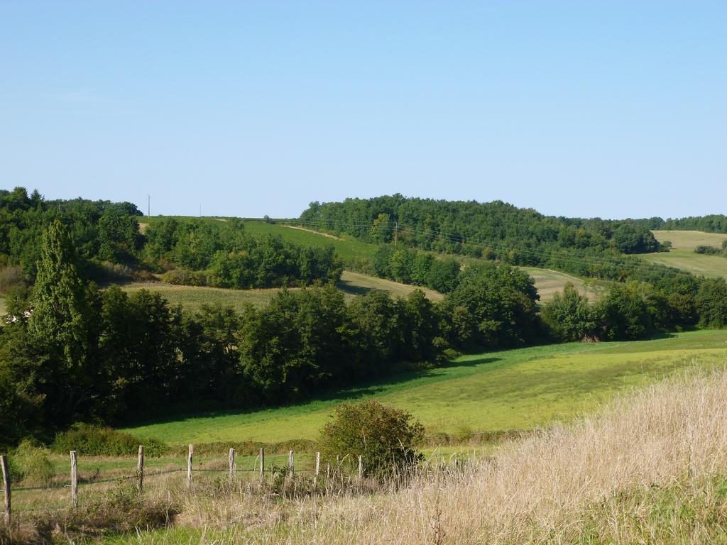 Ancien Haras De La Tour Bed and Breakfast Lamothe-Landerron Buitenkant foto