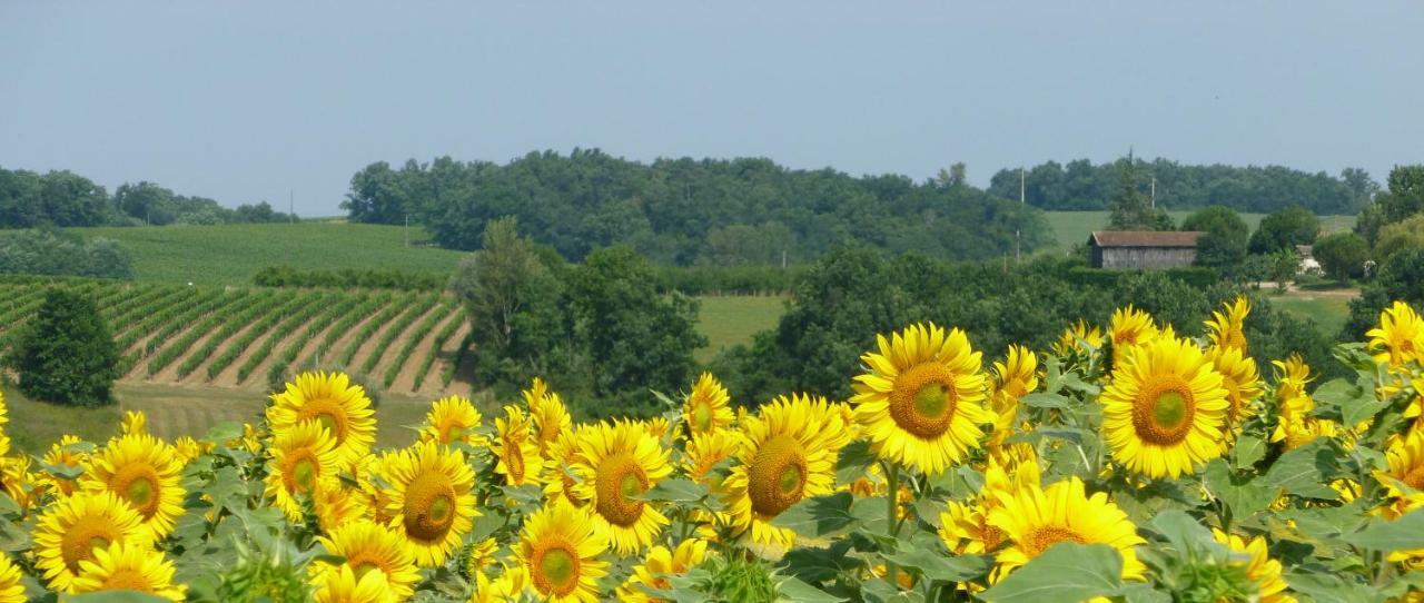 Ancien Haras De La Tour Bed and Breakfast Lamothe-Landerron Buitenkant foto