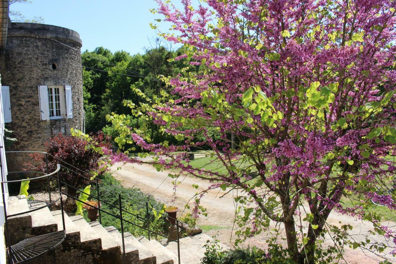 Ancien Haras De La Tour Bed and Breakfast Lamothe-Landerron Buitenkant foto