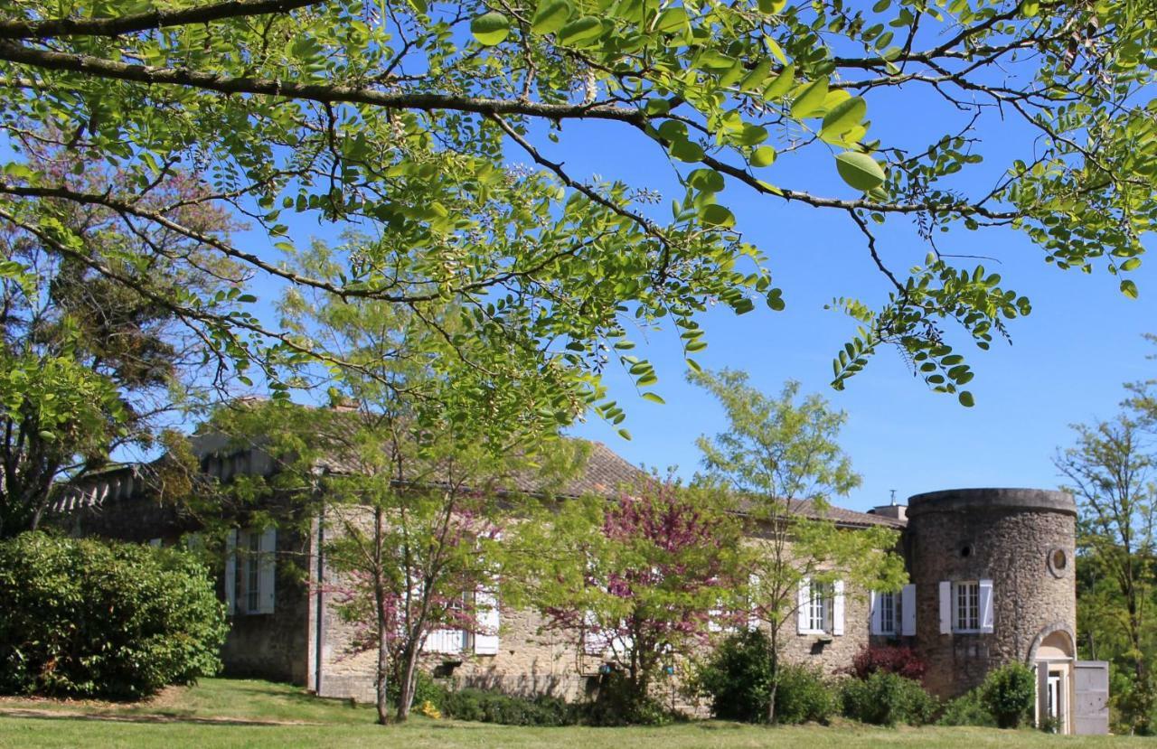 Ancien Haras De La Tour Bed and Breakfast Lamothe-Landerron Buitenkant foto